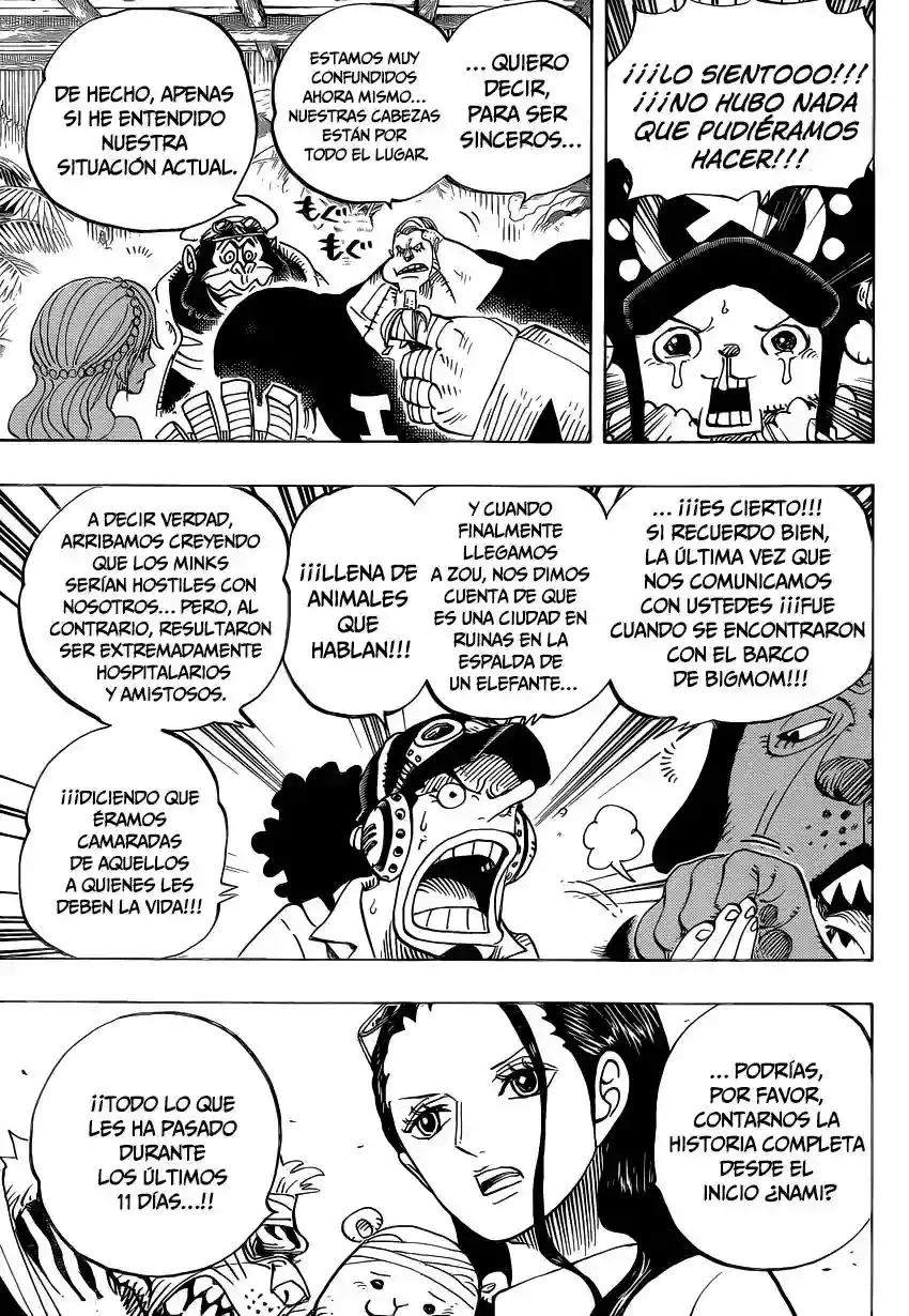 One Piece Capítulo 807 - Página 7 en español