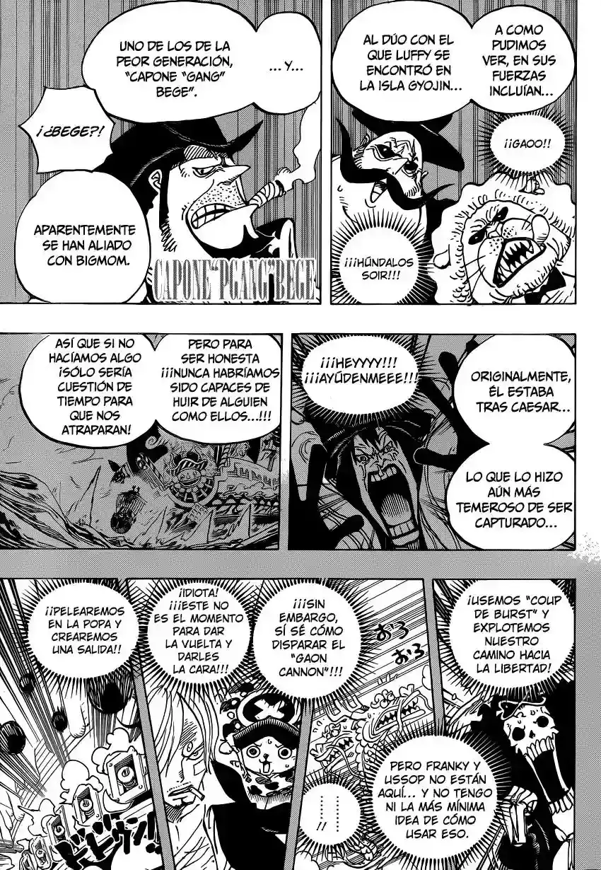 One Piece Capítulo 807 - Página 9 en español