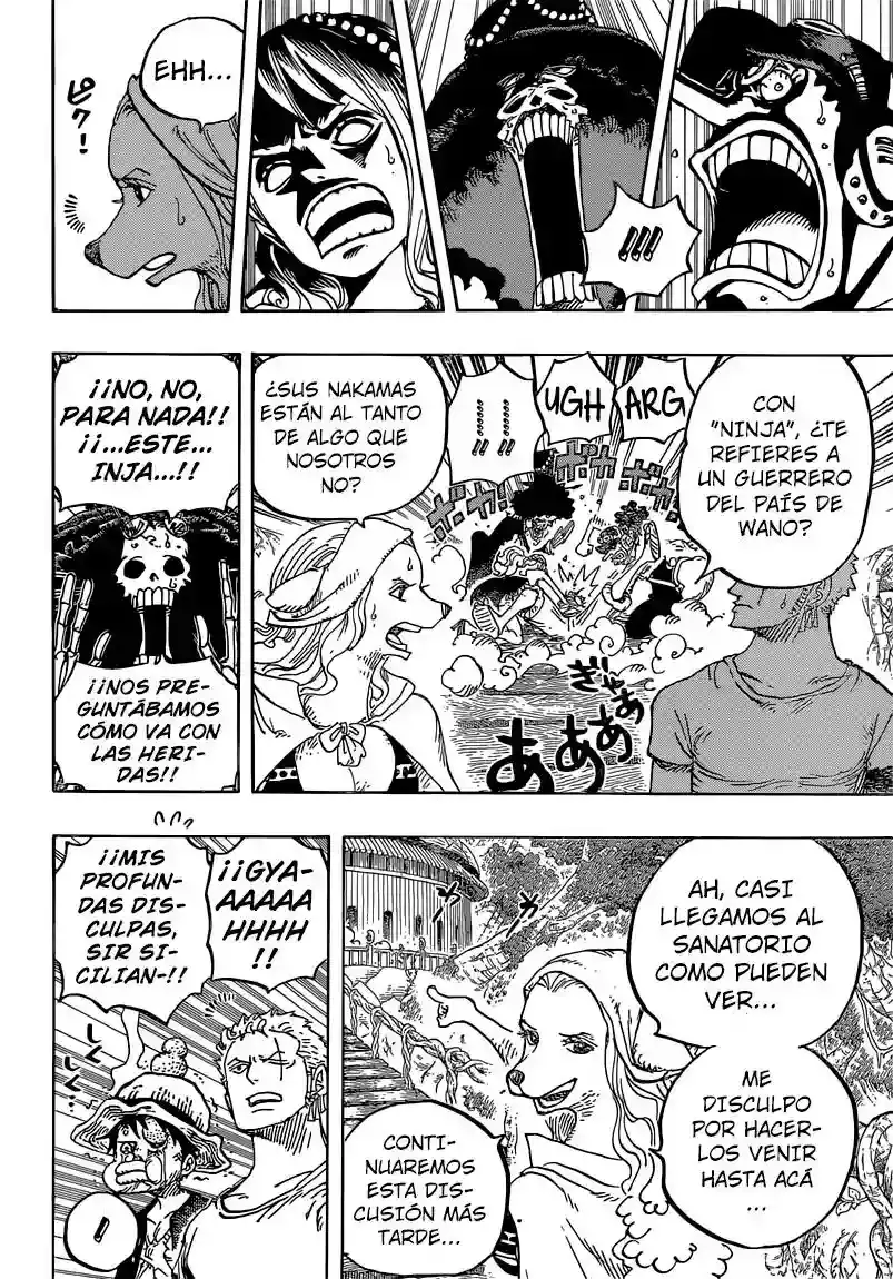 One Piece Capítulo 808 - Página 12 en español