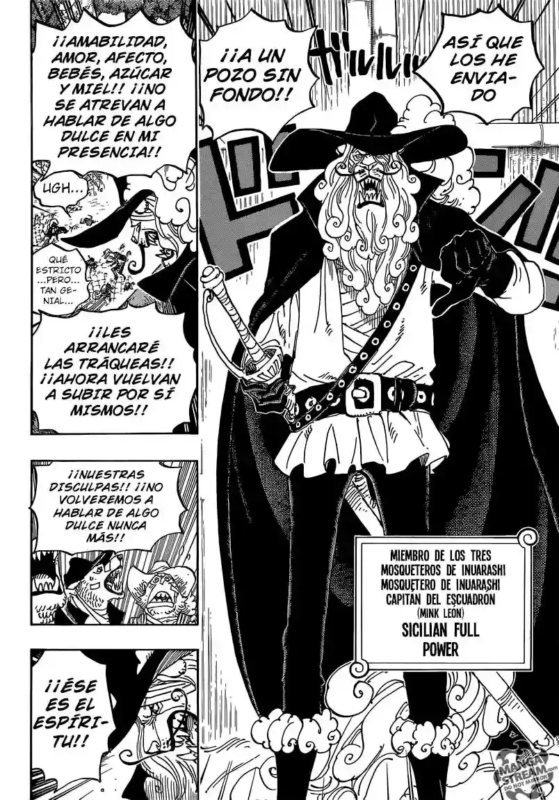 One Piece Capítulo 808 - Página 14 en español