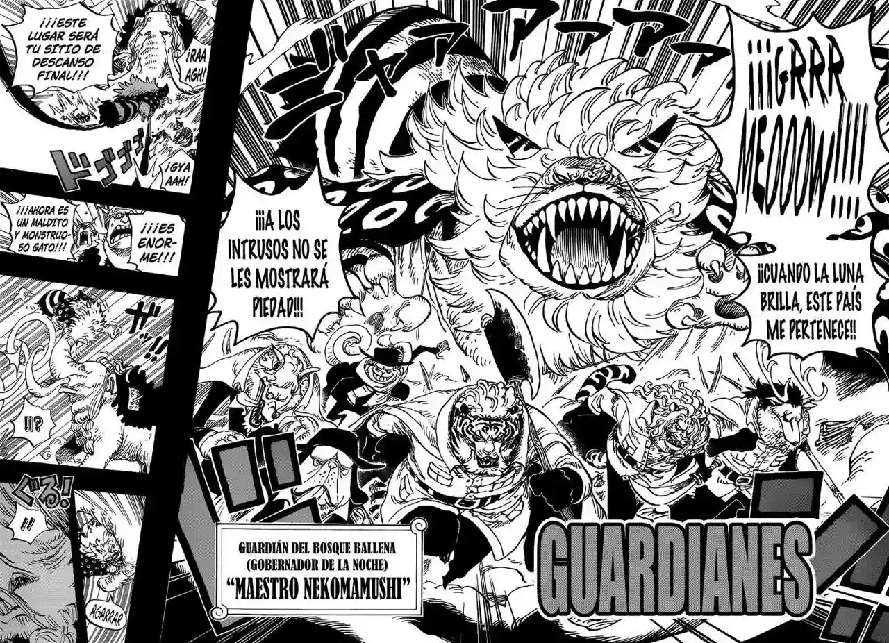 One Piece Capítulo 809 - Página 16 en español