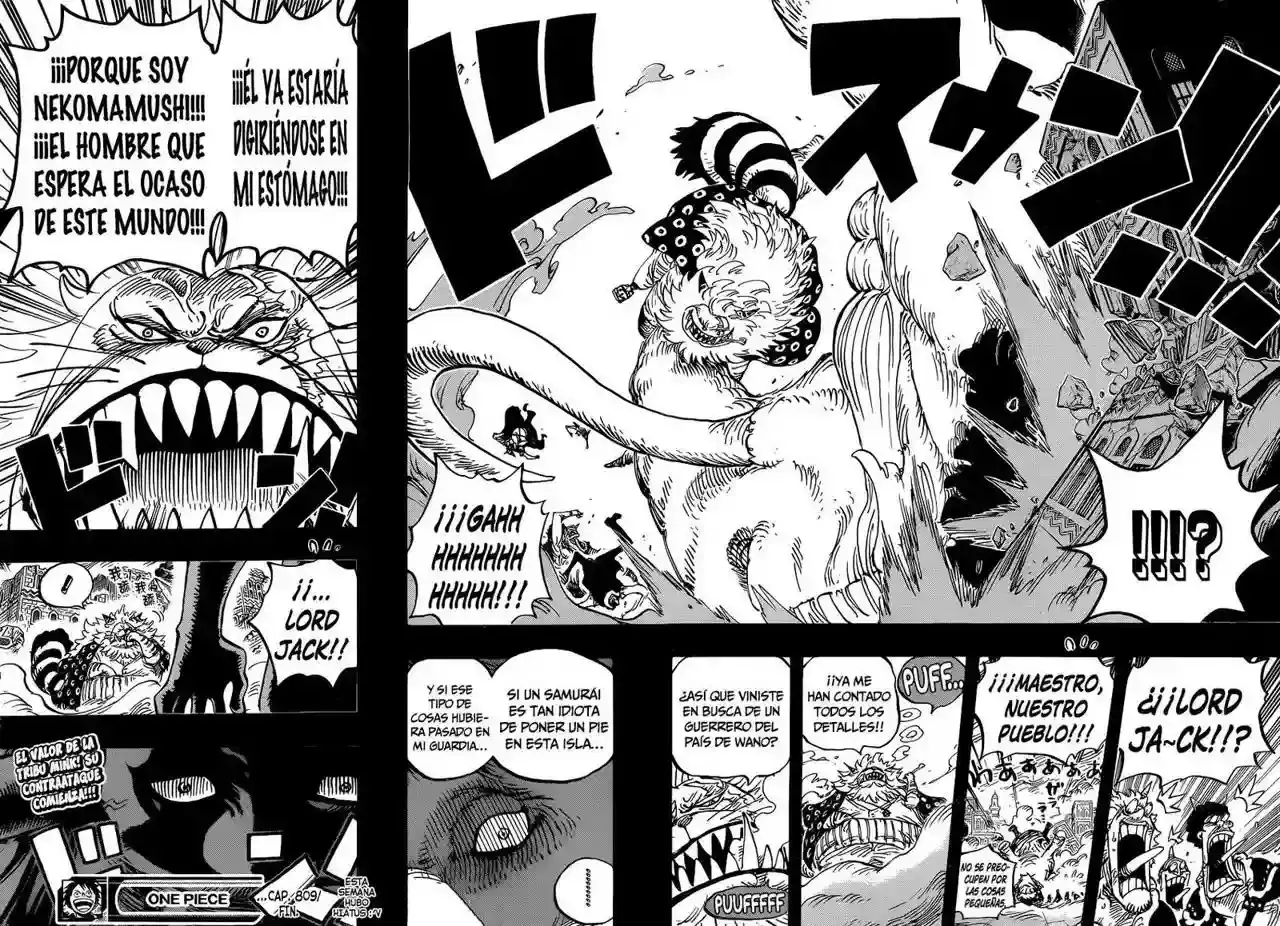 One Piece Capítulo 809 - Página 17 en español
