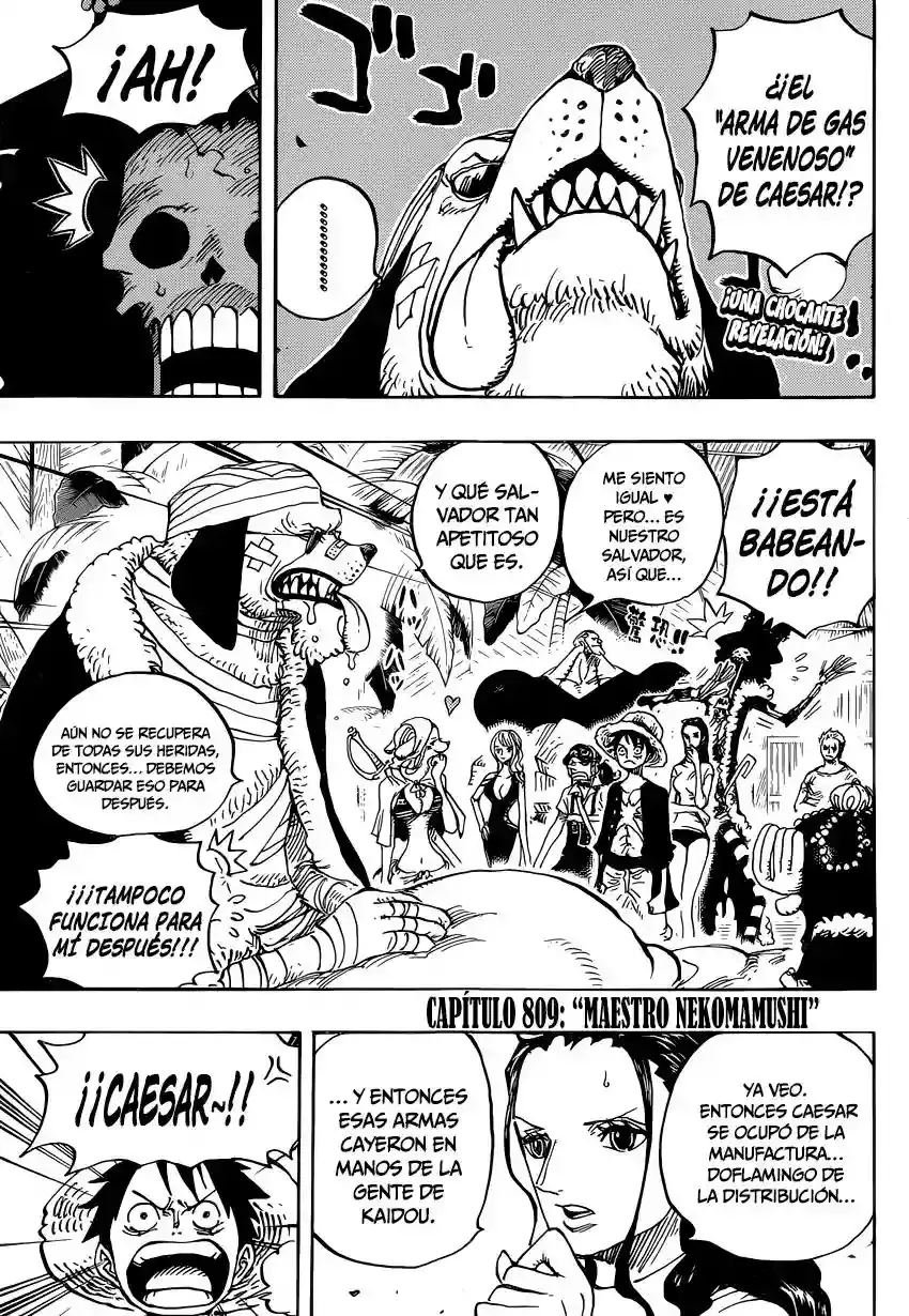One Piece Capítulo 809 - Página 4 en español