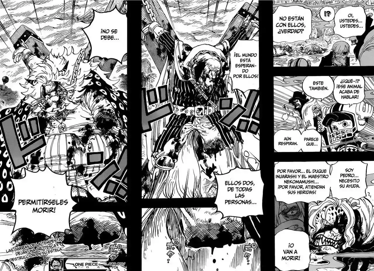 One Piece Capítulo 810 - Página 17 en español