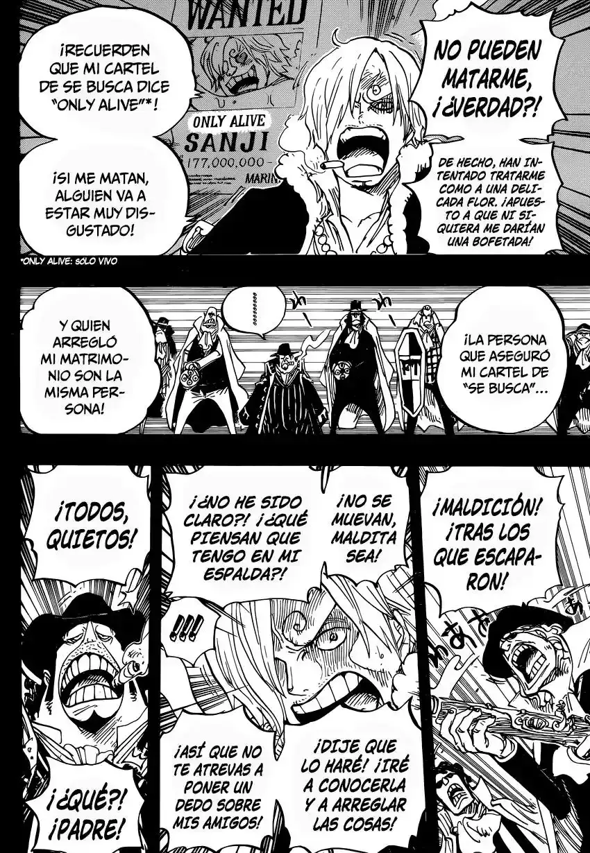 One Piece Capítulo 813 - Página 15 en español