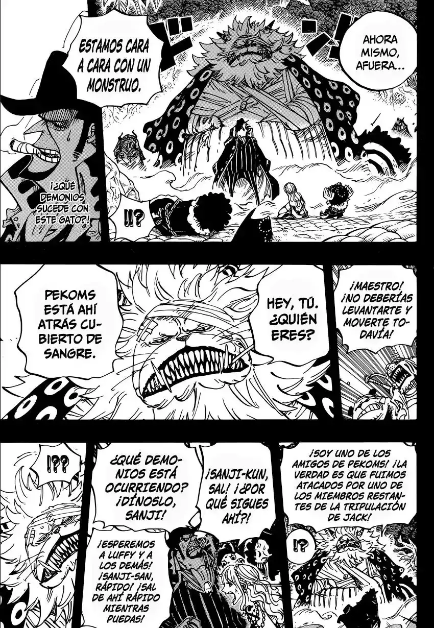 One Piece Capítulo 813 - Página 16 en español