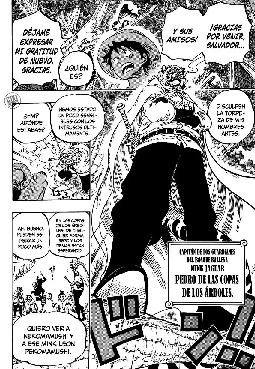 One Piece Capítulo 814 - Página 12 en español