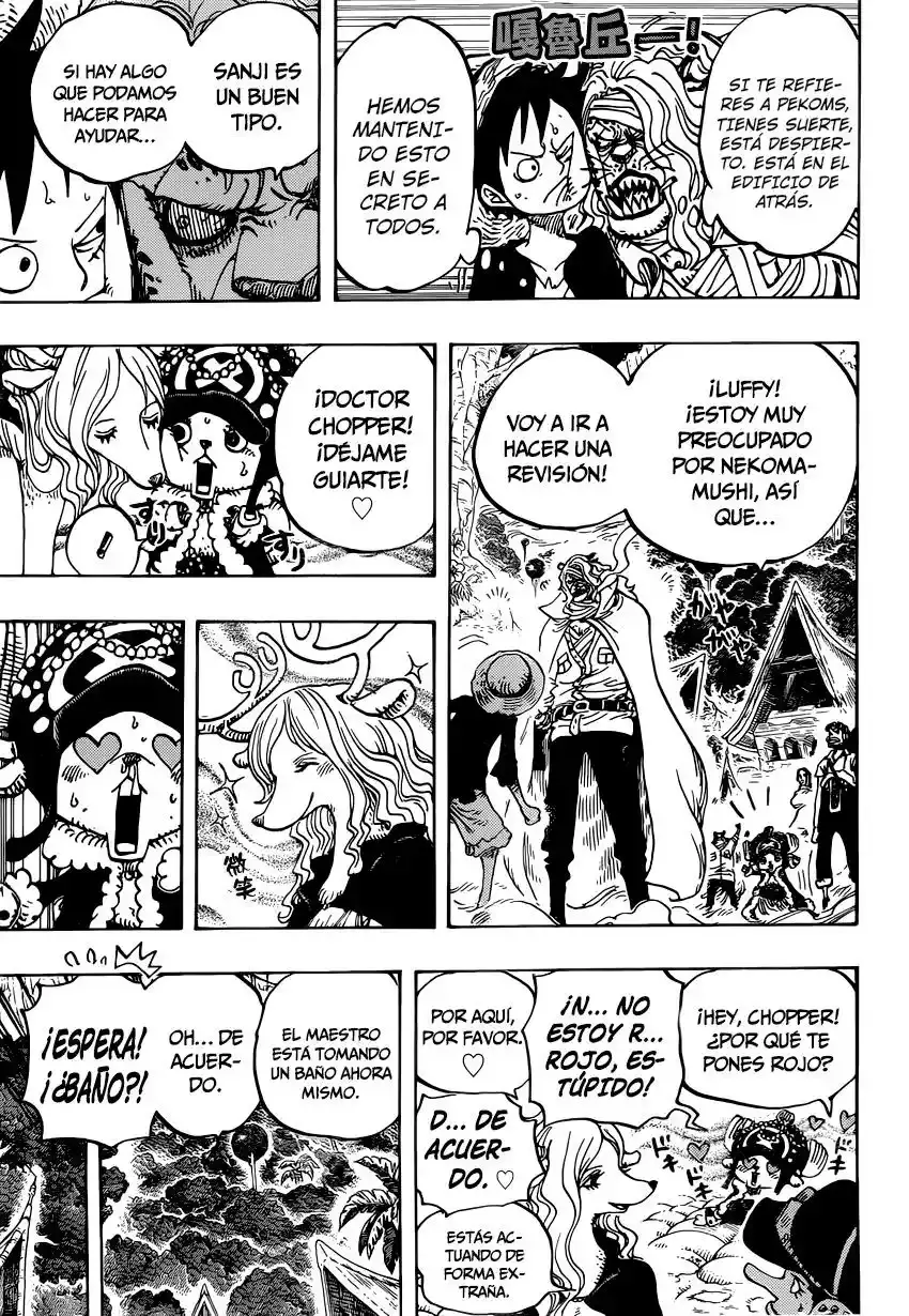 One Piece Capítulo 814 - Página 13 en español
