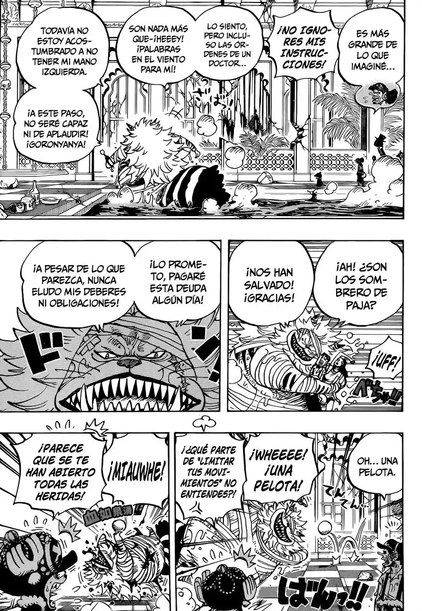 One Piece Capítulo 814 - Página 15 en español