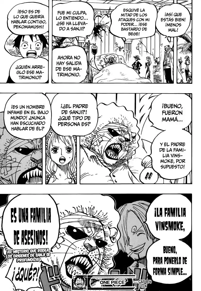 One Piece Capítulo 814 - Página 17 en español