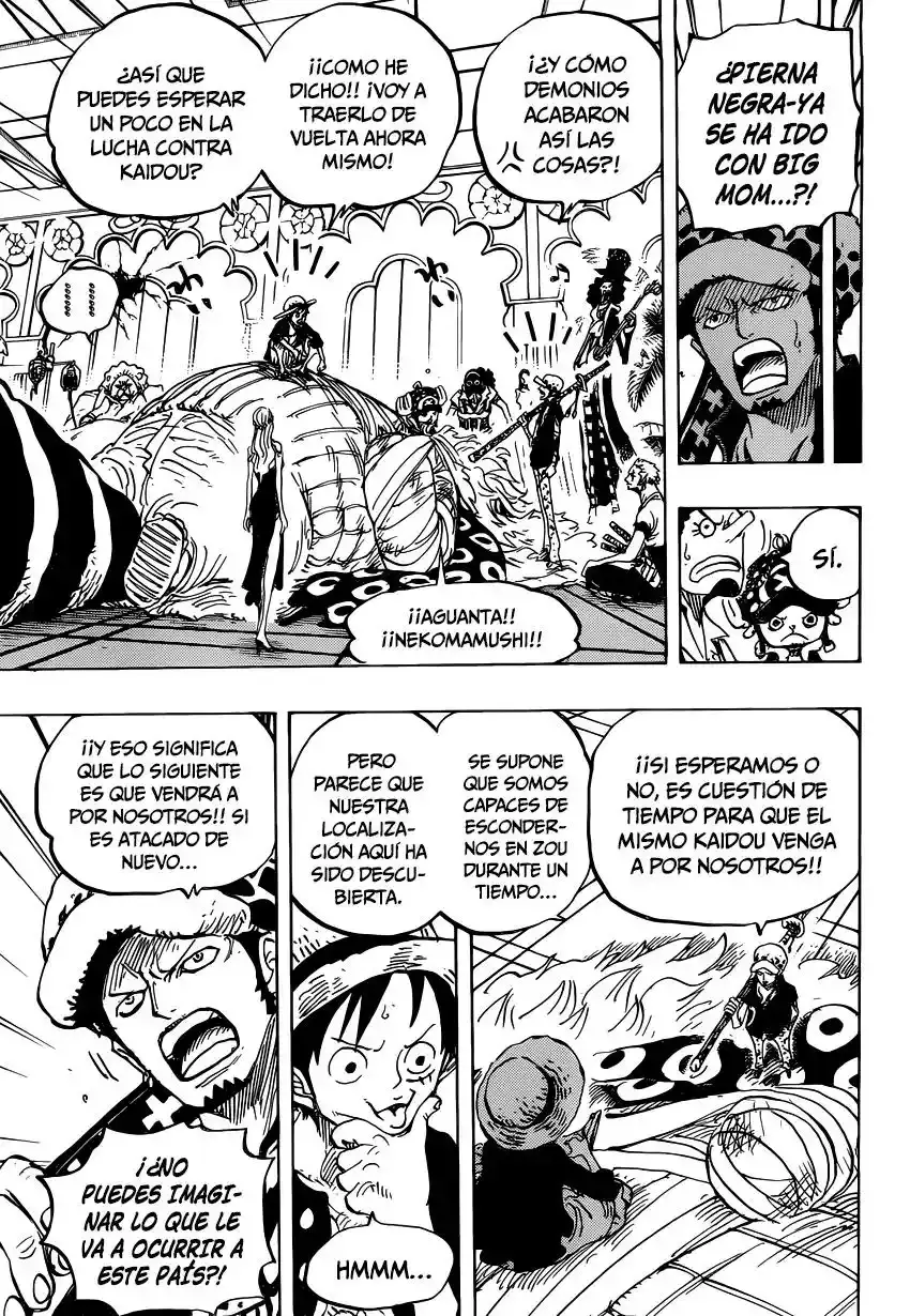 One Piece Capítulo 815 - Página 14 en español