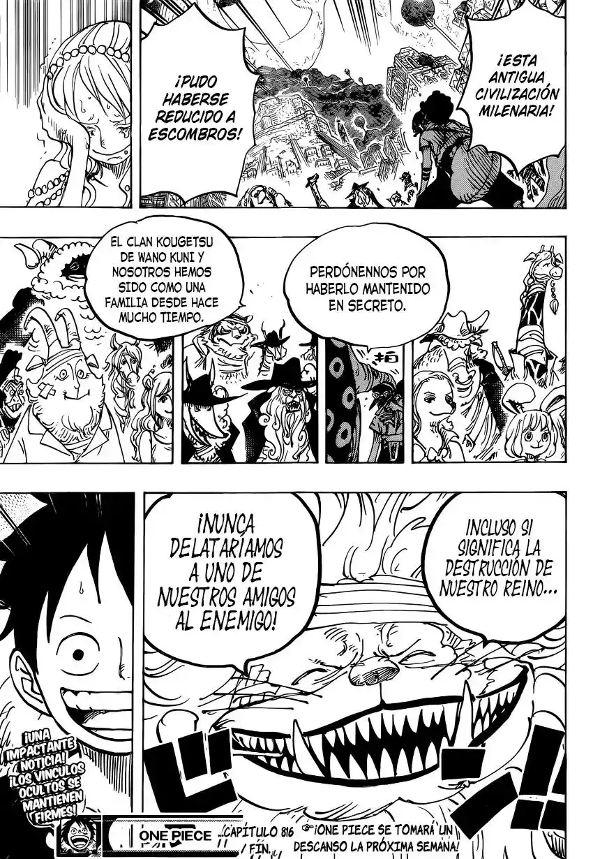 One Piece Capítulo 816 - Página 17 en español