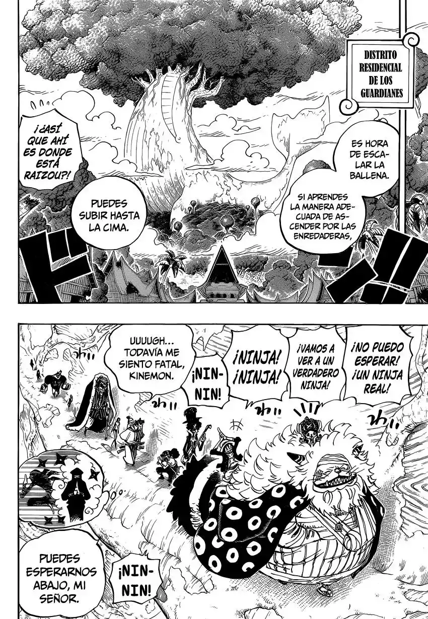 One Piece Capítulo 817 - Página 13 en español