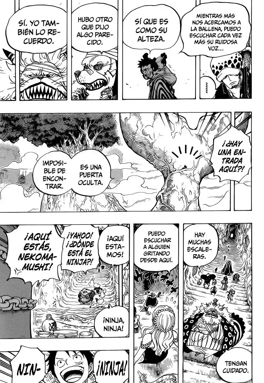 One Piece Capítulo 817 - Página 14 en español