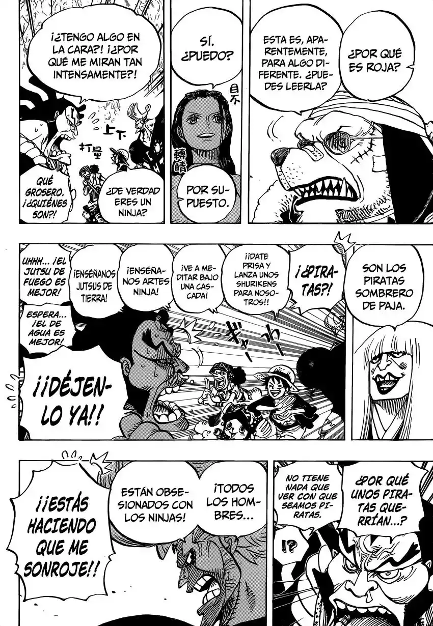 One Piece Capítulo 817 - Página 17 en español