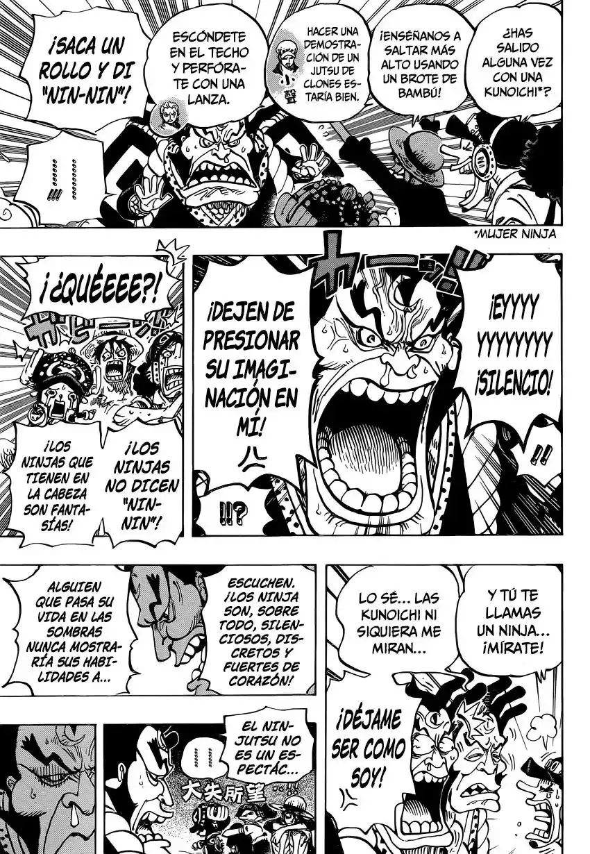 One Piece Capítulo 817 - Página 18 en español