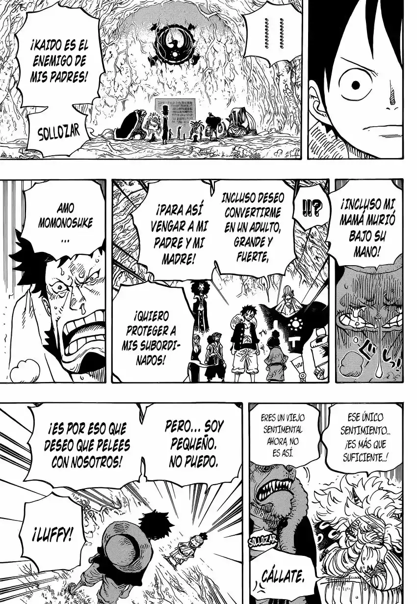 One Piece Capítulo 819 - Página 12 en español