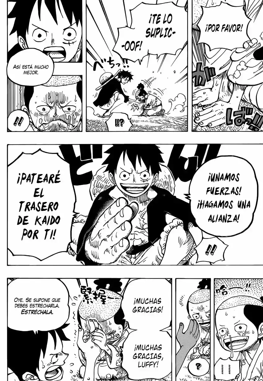 One Piece Capítulo 819 - Página 13 en español