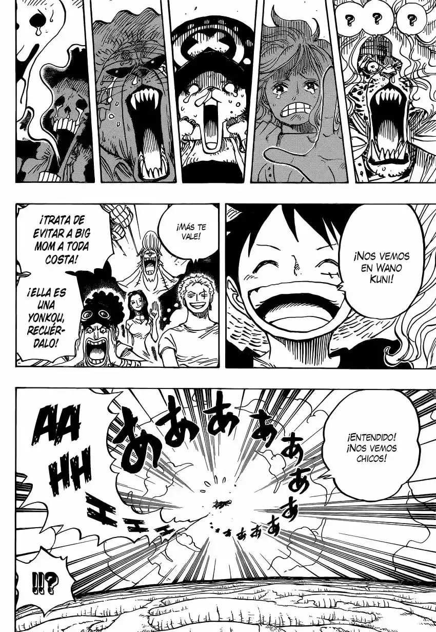 One Piece Capítulo 822 - Página 17 en español