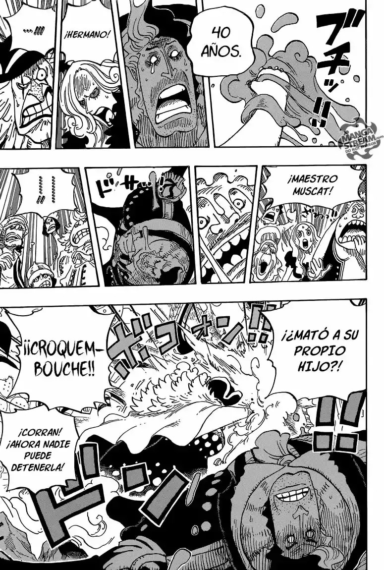 One Piece Capítulo 829 - Página 14 en español