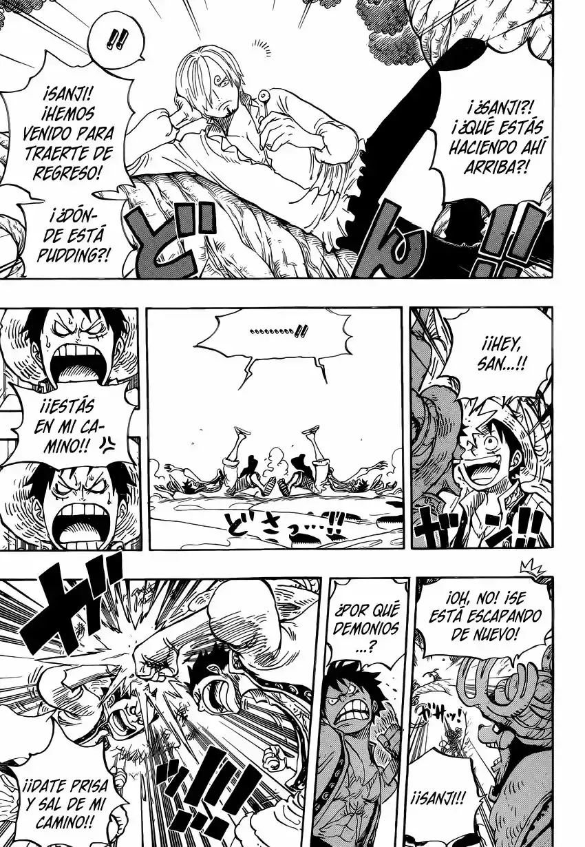 One Piece Capítulo 831 - Página 14 en español
