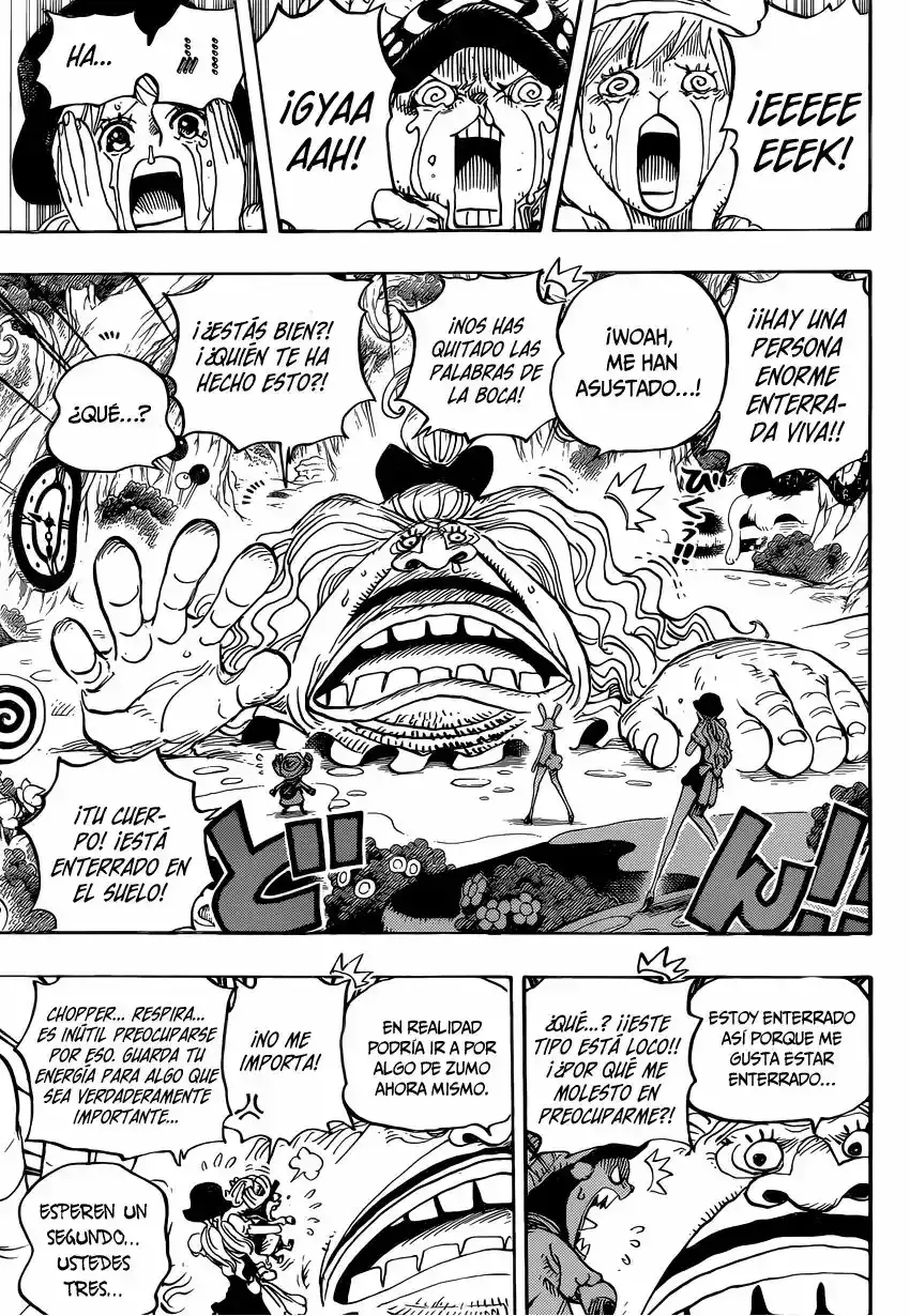 One Piece Capítulo 831 - Página 16 en español
