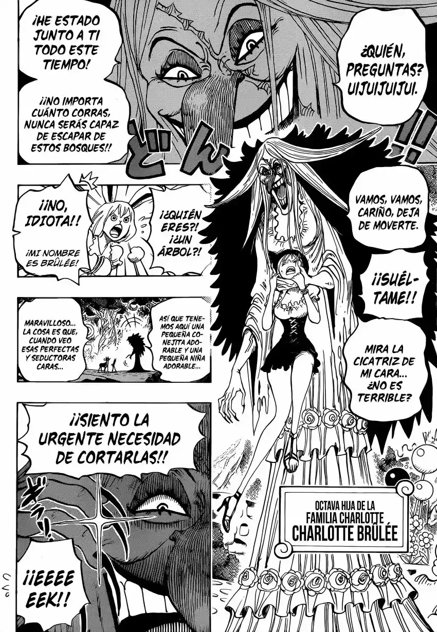 One Piece Capítulo 832 - Página 13 en español