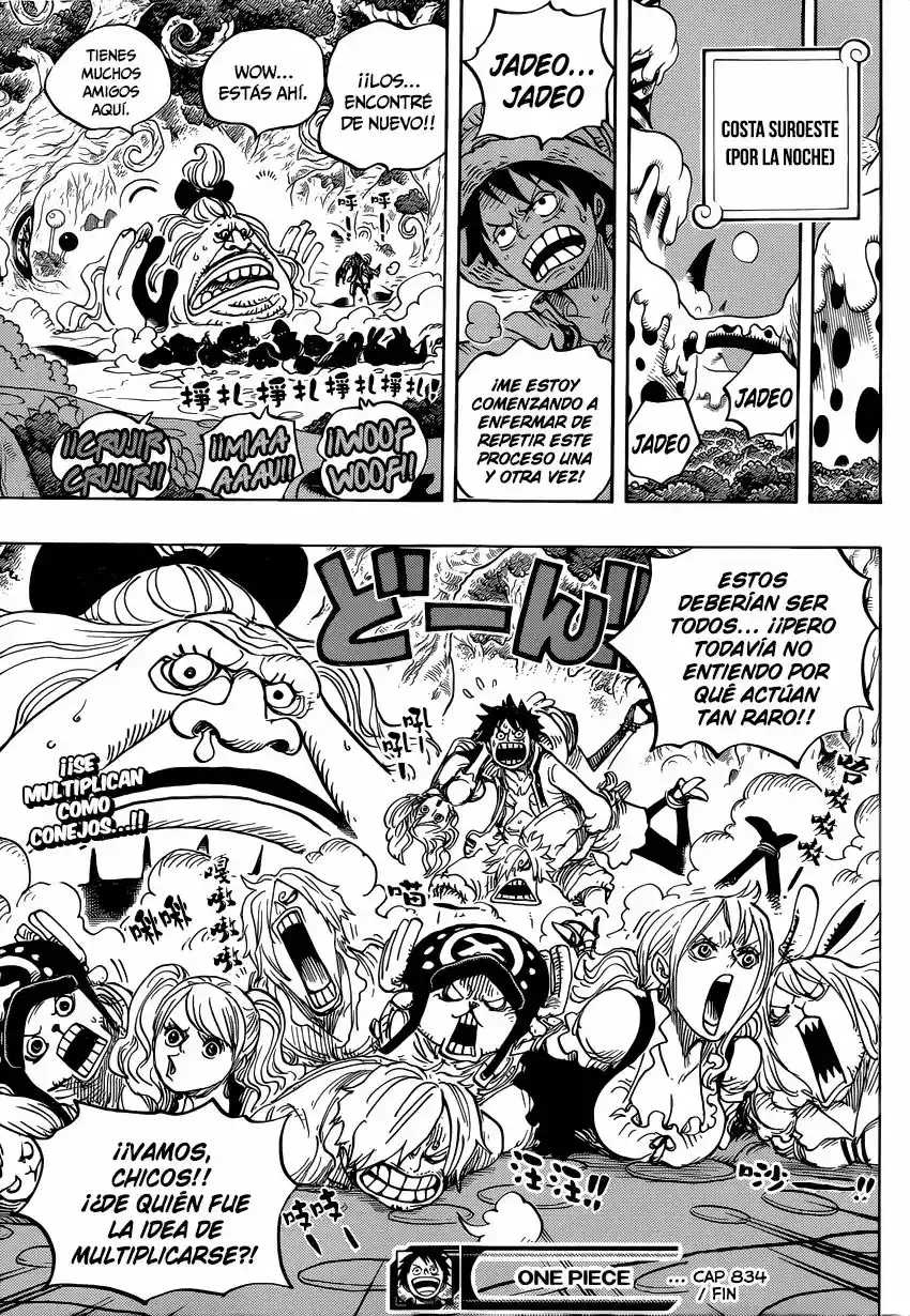 One Piece Capítulo 834 - Página 18 en español