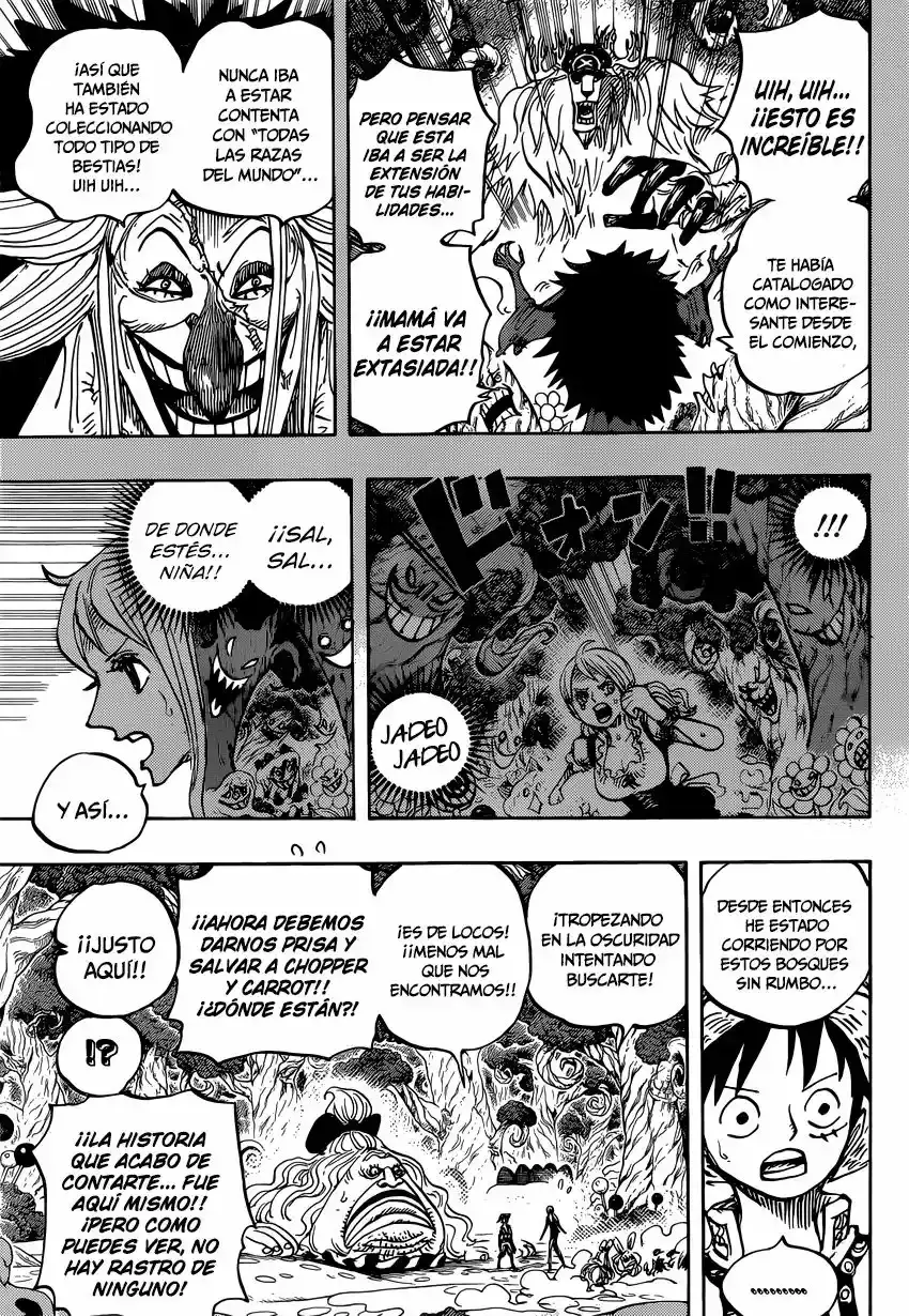 One Piece Capítulo 835 - Página 14 en español