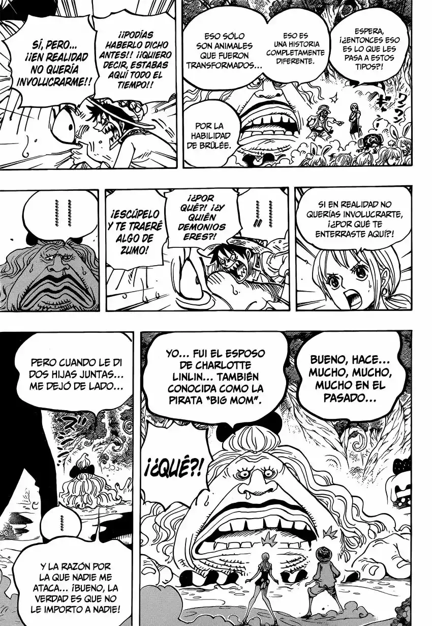 One Piece Capítulo 835 - Página 18 en español