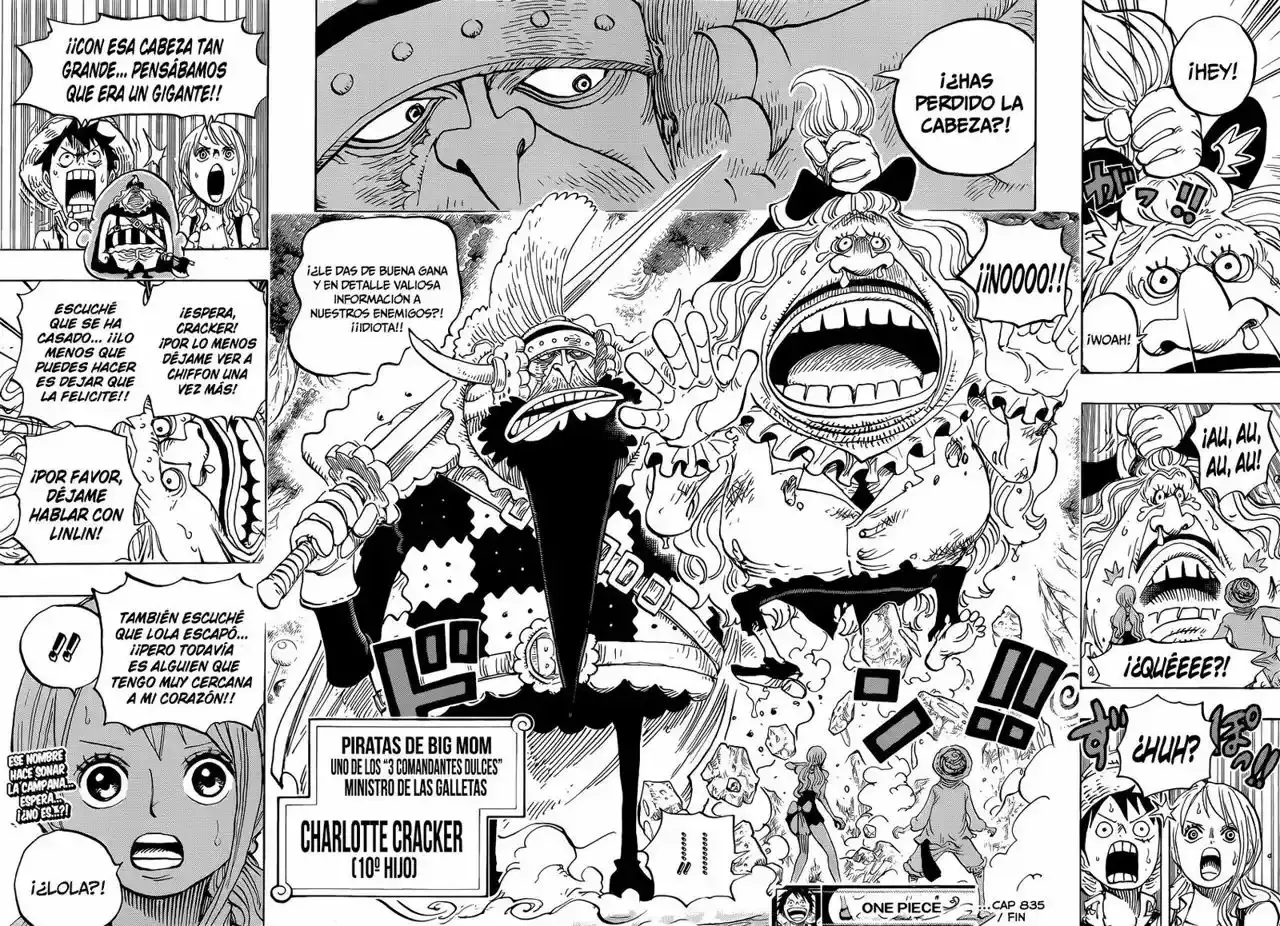 One Piece Capítulo 835 - Página 19 en español