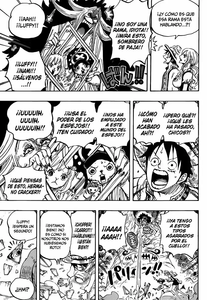 One Piece Capítulo 836 - Página 10 en español