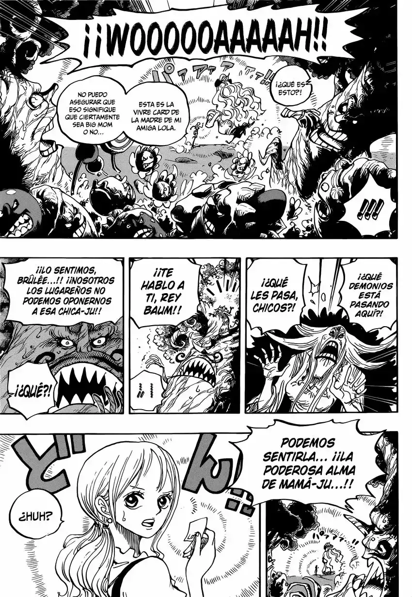 One Piece Capítulo 836 - Página 14 en español