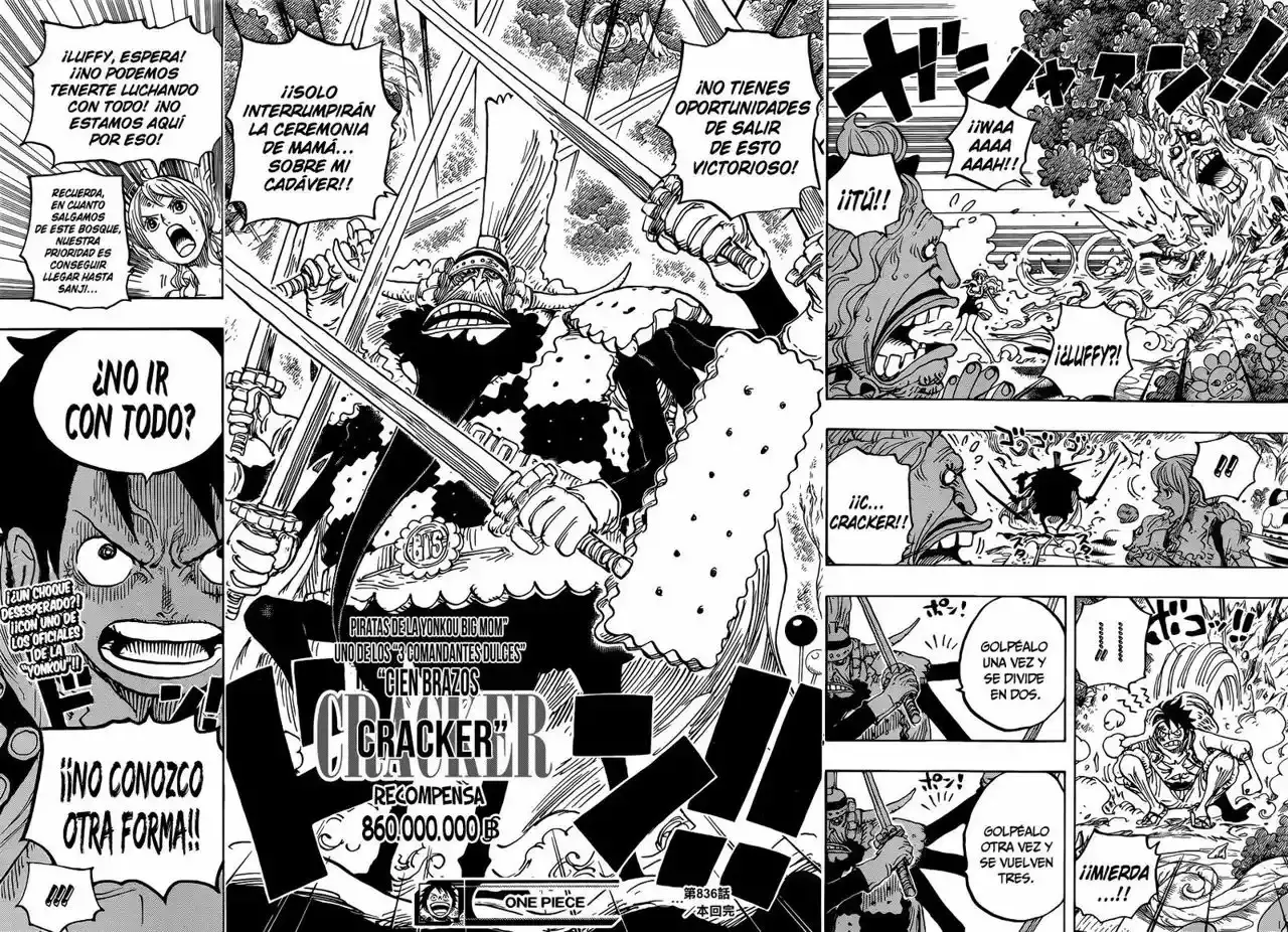 One Piece Capítulo 836 - Página 15 en español