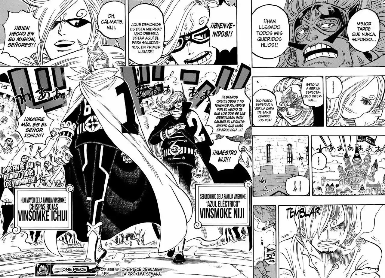 One Piece Capítulo 838 - Página 15 en español