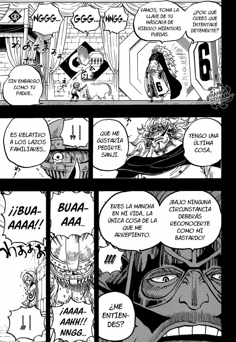 One Piece Capítulo 841 - Página 14 en español