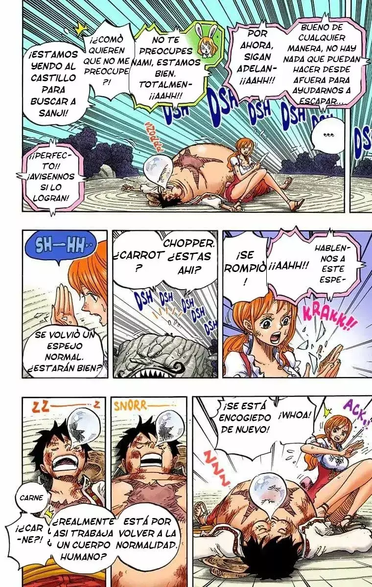 One Piece Capítulo 843.5 - Página 10 en español