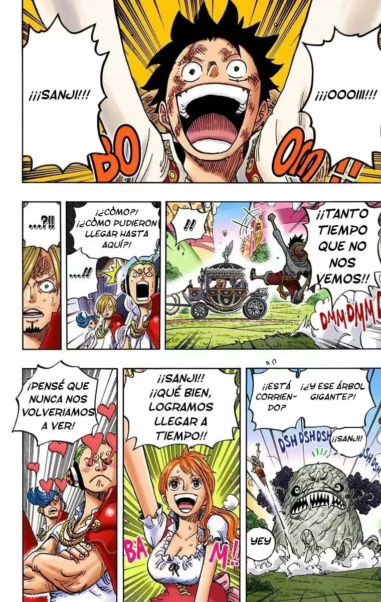 One Piece Capítulo 843.5 - Página 12 en español