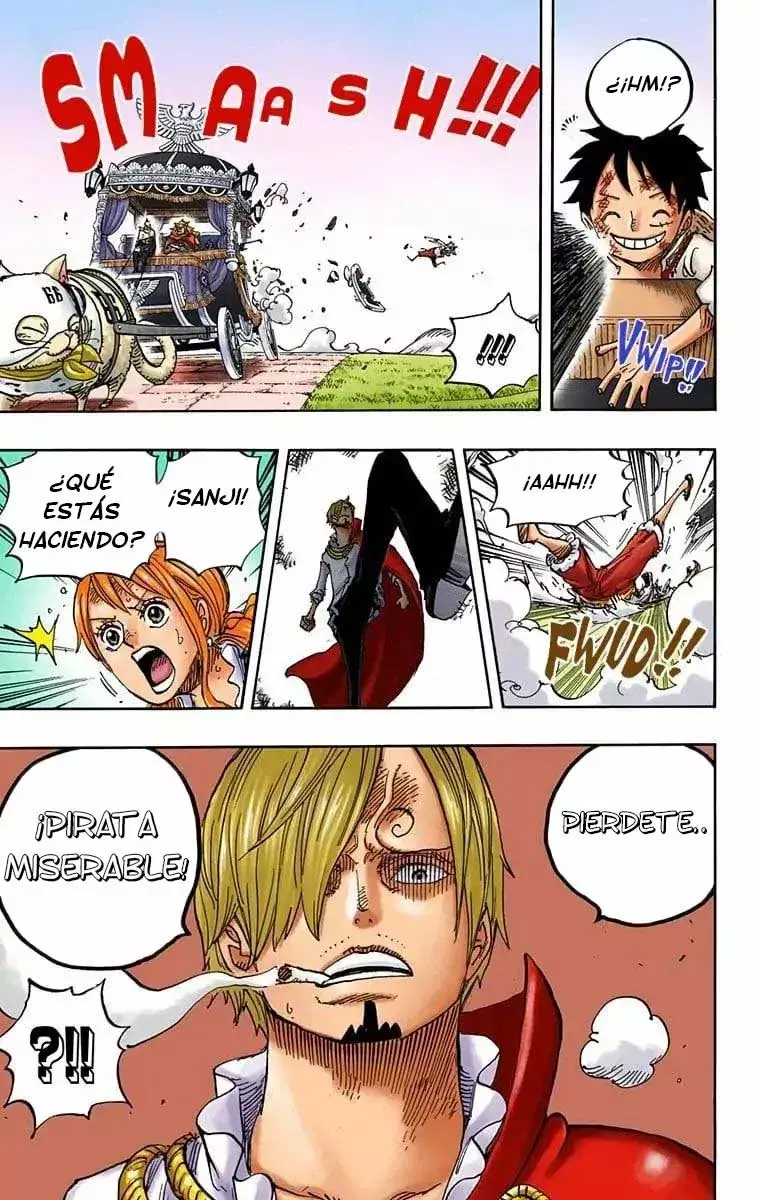One Piece Capítulo 843.5 - Página 15 en español