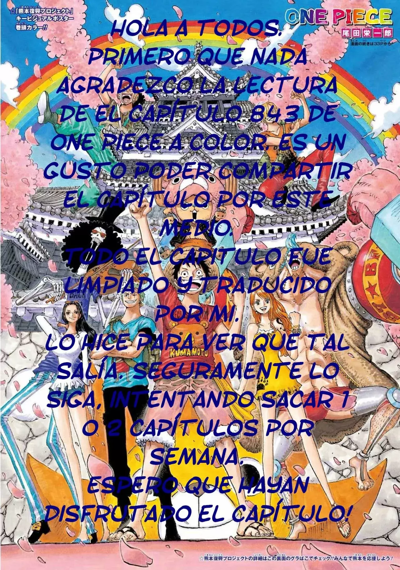 One Piece Capítulo 843.5 - Página 18 en español
