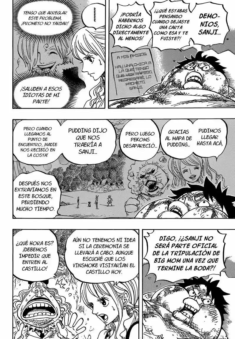 One Piece Capítulo 843 - Página 11 en español