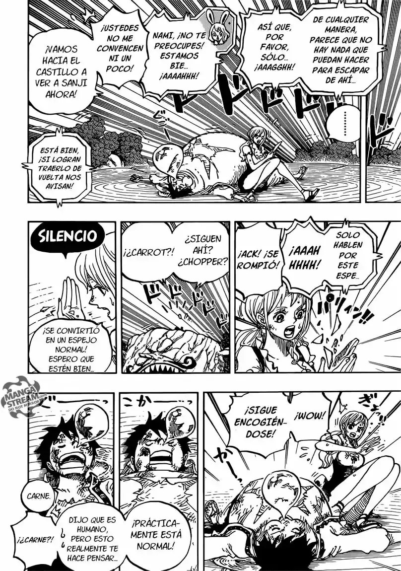 One Piece Capítulo 843 - Página 13 en español