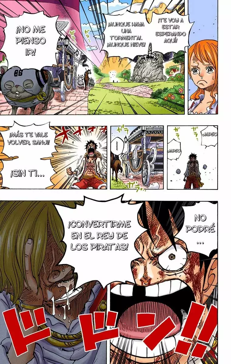One Piece Capítulo 844.5 - Página 17 en español