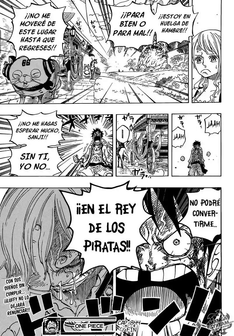 One Piece Capítulo 844 - Página 17 en español