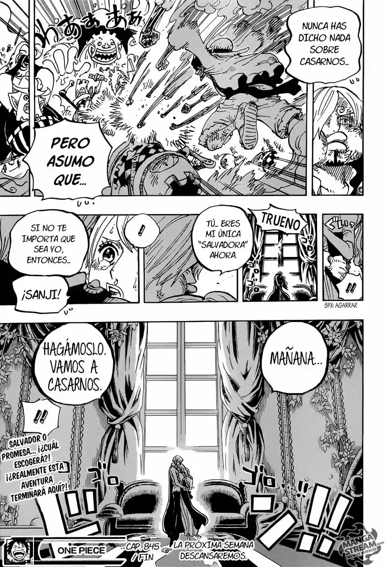 One Piece Capítulo 845 - Página 17 en español