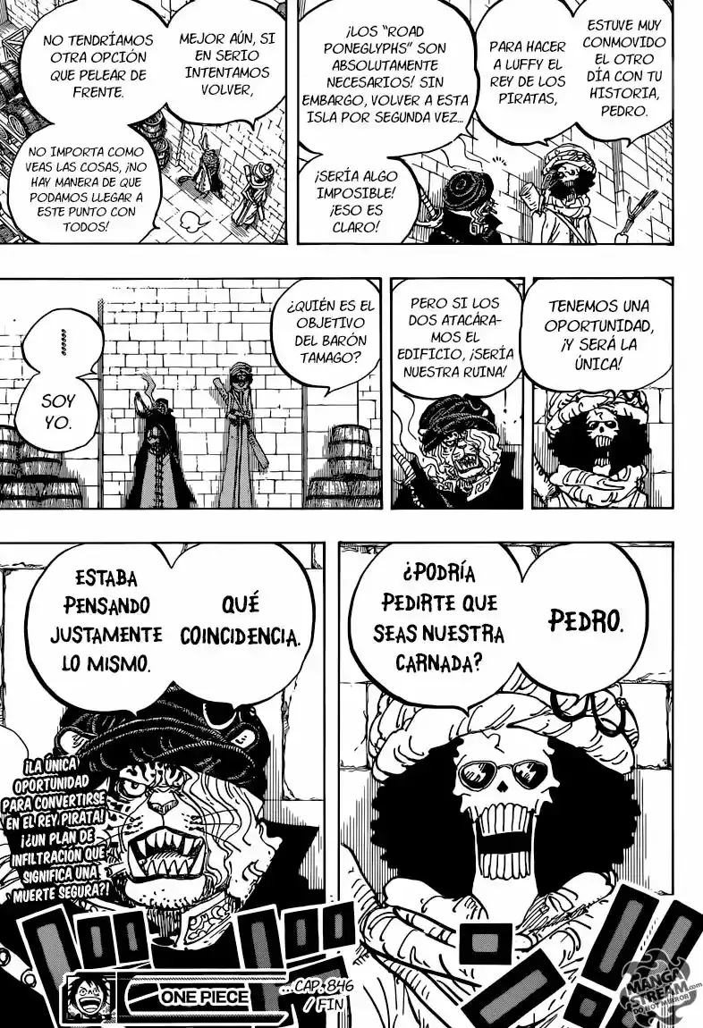 One Piece Capítulo 846 - Página 17 en español