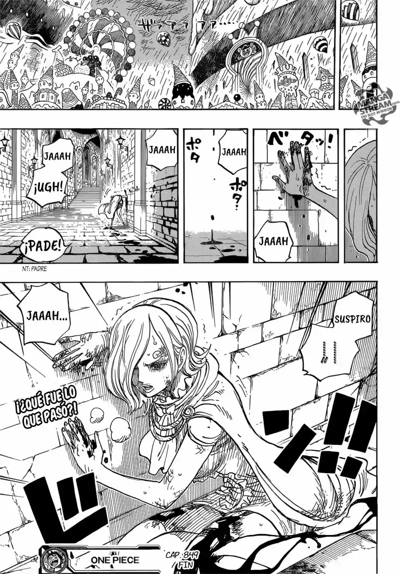 One Piece Capítulo 849 - Página 19 en español