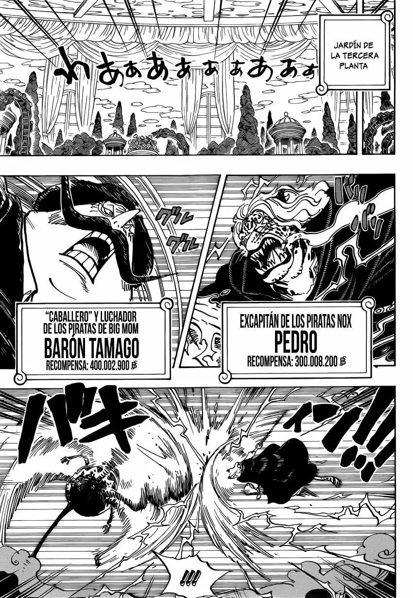 One Piece Capítulo 850 - Página 10 en español