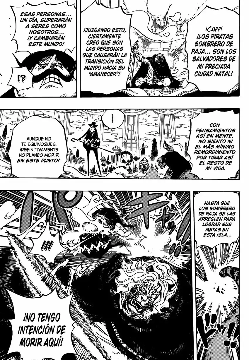One Piece Capítulo 850 - Página 14 en español