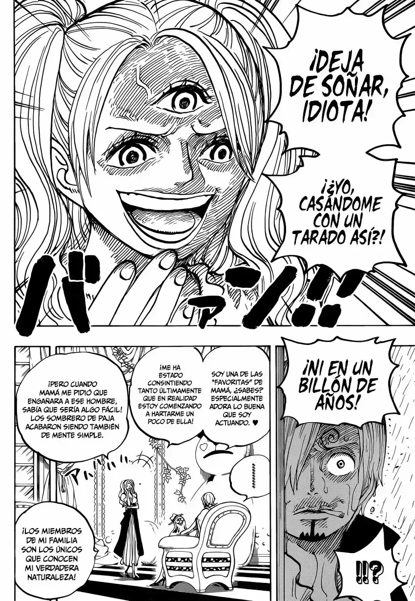 One Piece Capítulo 850 - Página 17 en español